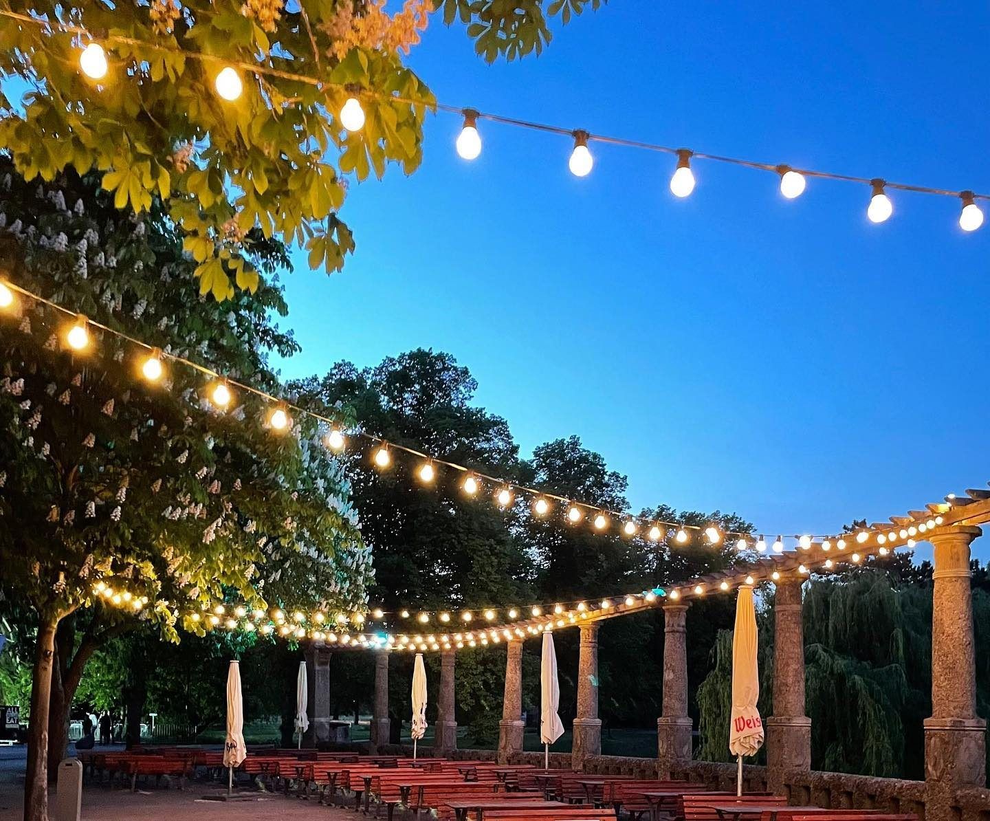 Seeterrasse am Adolf-Mittag-See mit Lichterketten unter Kastanien